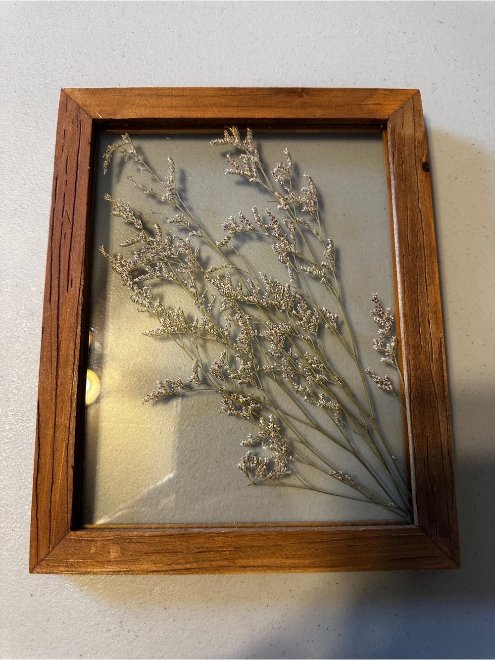 Pressed Dried Flower Art in Wood Frame - Neutral Tones